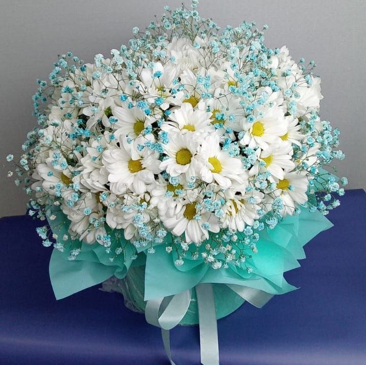 Композиция
№3004