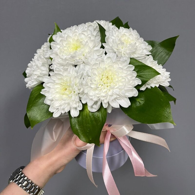Композиция
№3015