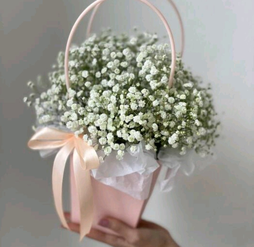Композиция
№3034 — изображение 3