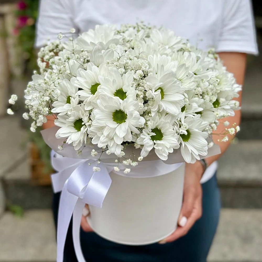 Композиция
№3012