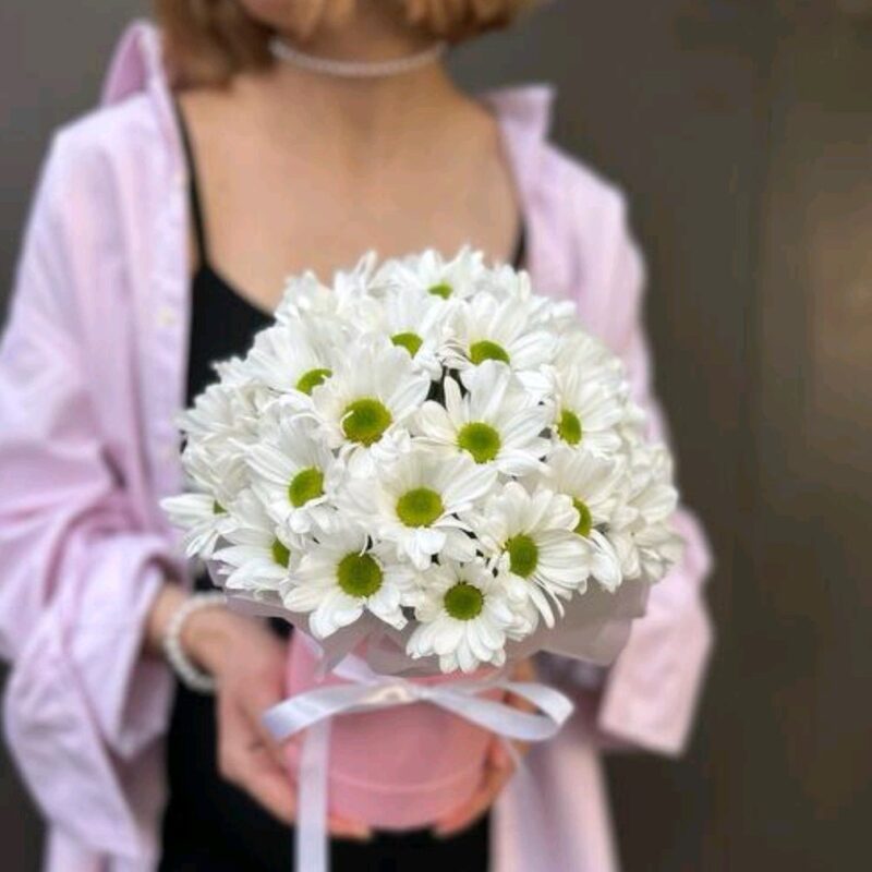 Композиция
№3037